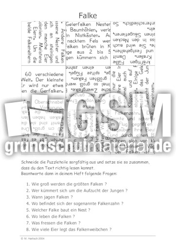 Falke.pdf